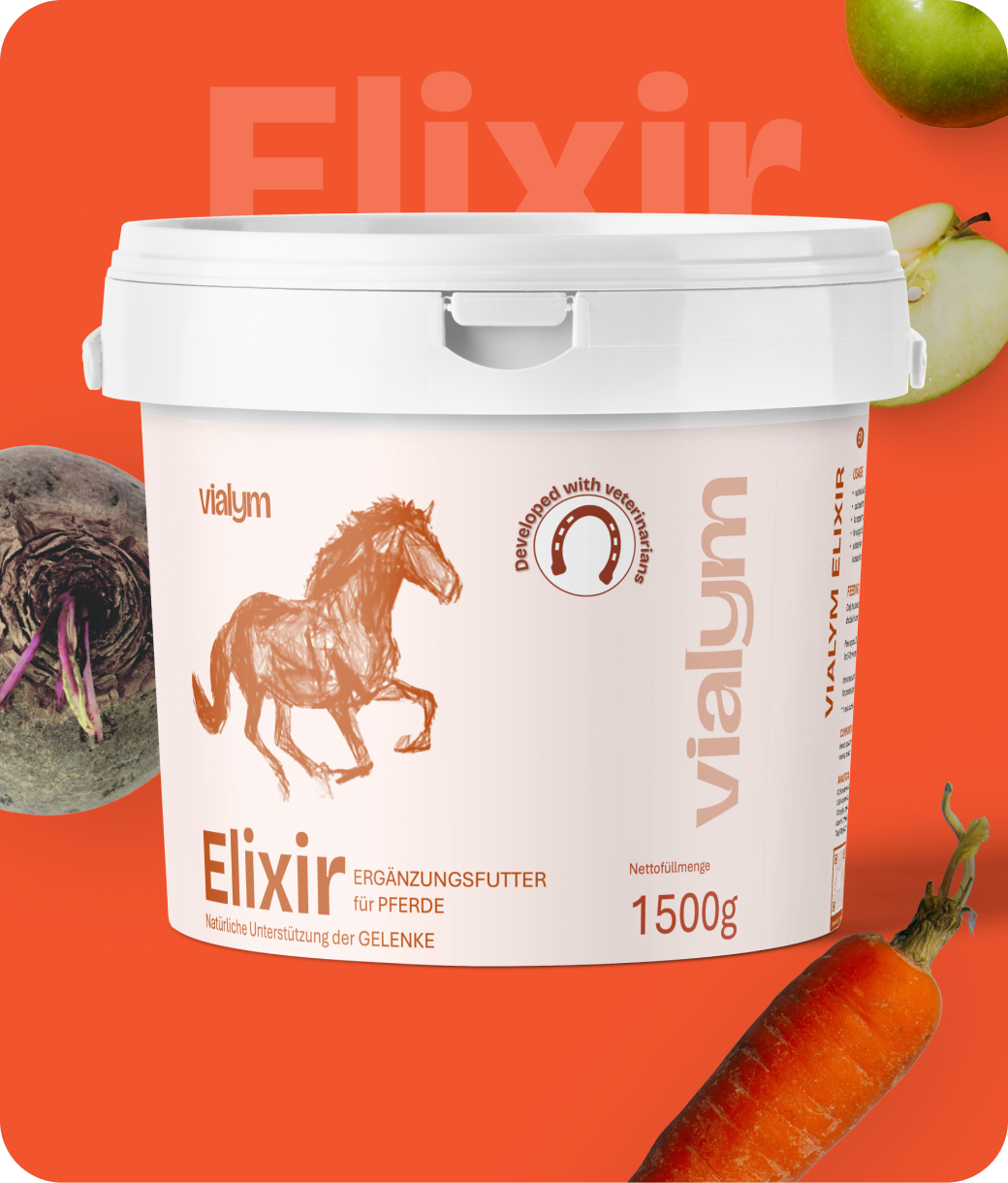 Elixir