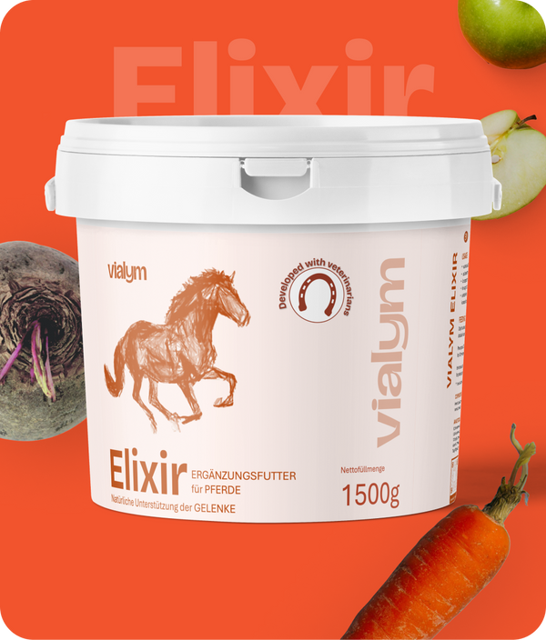 Elixir